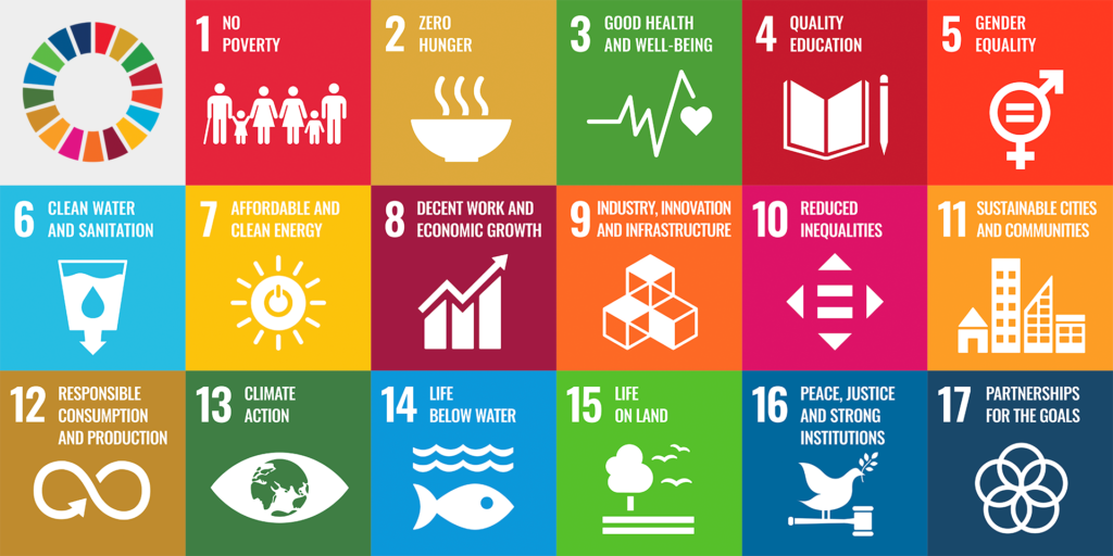 UN Sustainable Development Goals in grid with icons