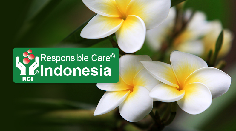 Responsible Care® Indonesia Elects Hanggara Sukandar to Director of  Sustainability